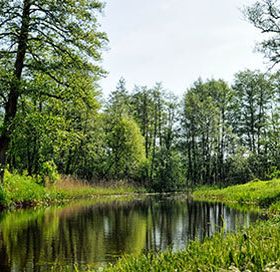 Turystyka wodna